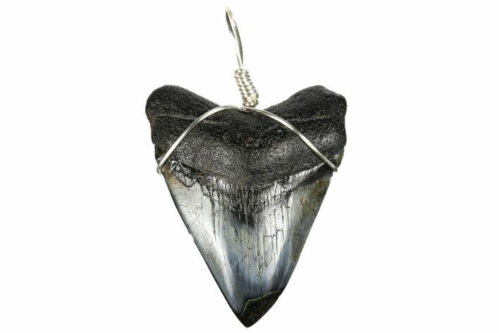 Fossil Megalodon Tooth Necklace #173819